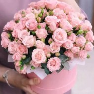 Сказка снов